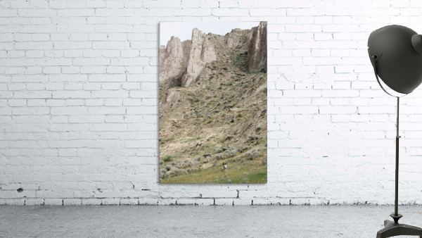How many Wall Preview