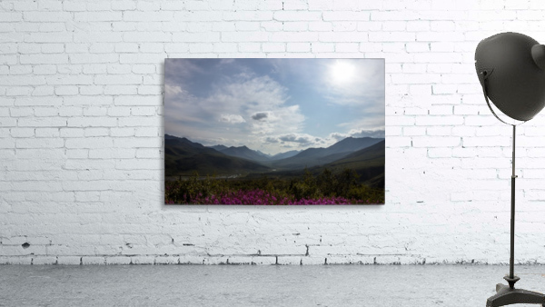 Dempster Highway   61 Wall Preview
