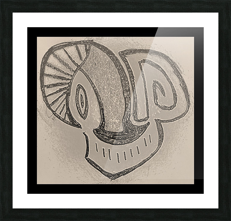 Skull Picture Frame print