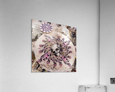 Skull Acrylic Print