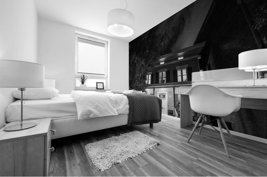 House B&W Mural print