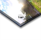 Robson Boat Launch Regional Park Acrylic print