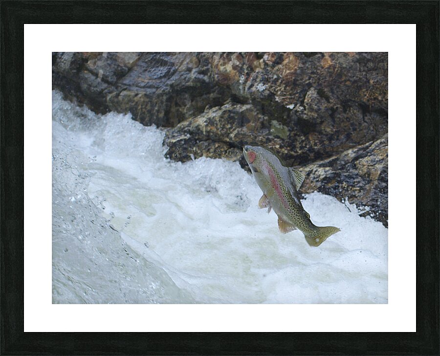 Determined Picture Frame print