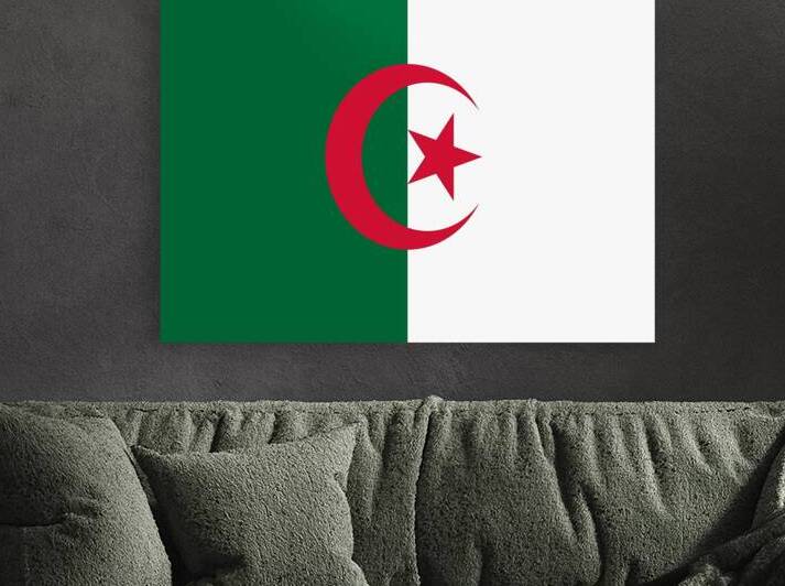 Flag of Algeria  A Brief History of Algeria by ahmed farhat