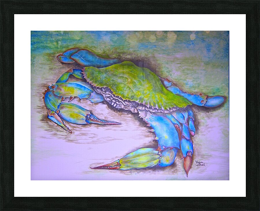 My Carolina Crab Picture Frame print