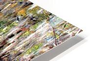 The OX Bow  HD Metal print