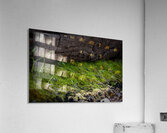 Life From Ashes Acrylic Print