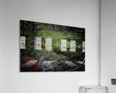 In The Marsh Acrylic Print