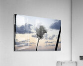 Morning Breeze Acrylic Print