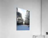 Quiet View Acrylic Print