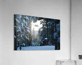 Out There Acrylic Print