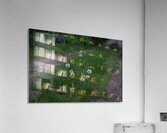 Smell the Flowers Acrylic Print