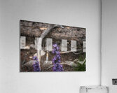 Purple Sight Acrylic Print