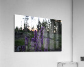 Blue Alpine Sunset Acrylic Print