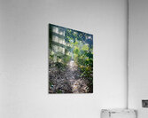 Through Coffee Plantations Acrylic Print