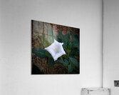 Sacred Flower Acrylic Print