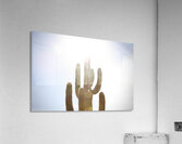 One Big Cactus Acrylic Print
