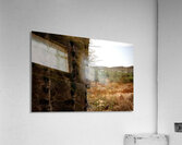 A Bit Sharp Acrylic Print