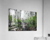 A Green and Cloudy Day Acrylic Print