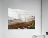 Look Out Acrylic Print