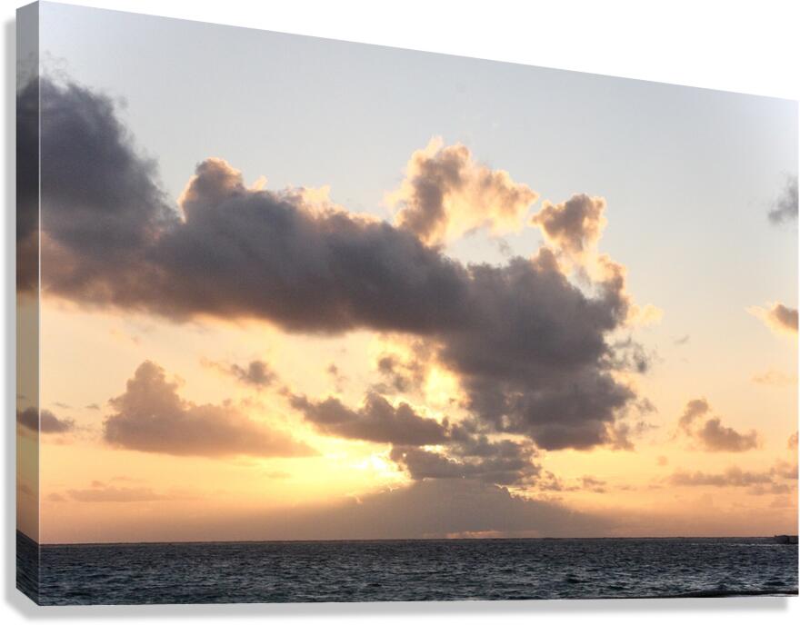 Good Morning Canvas Print