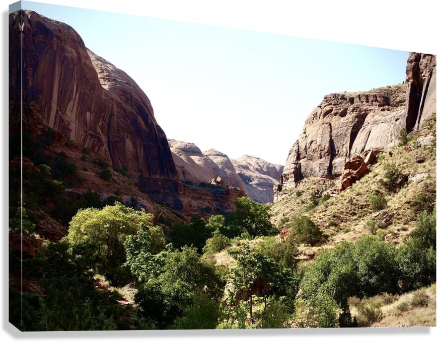 In The Valley Canvas Print