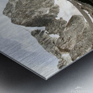 Floating Along Metal print