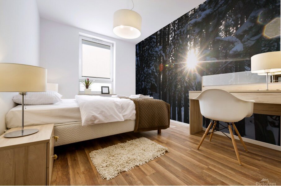 Cold Sun Mural print