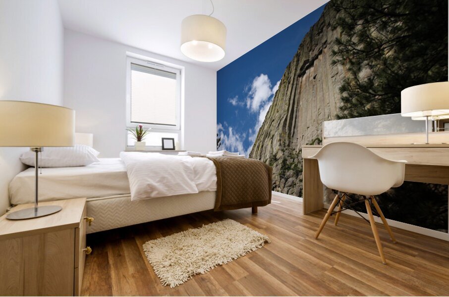 With The Sky Mural print