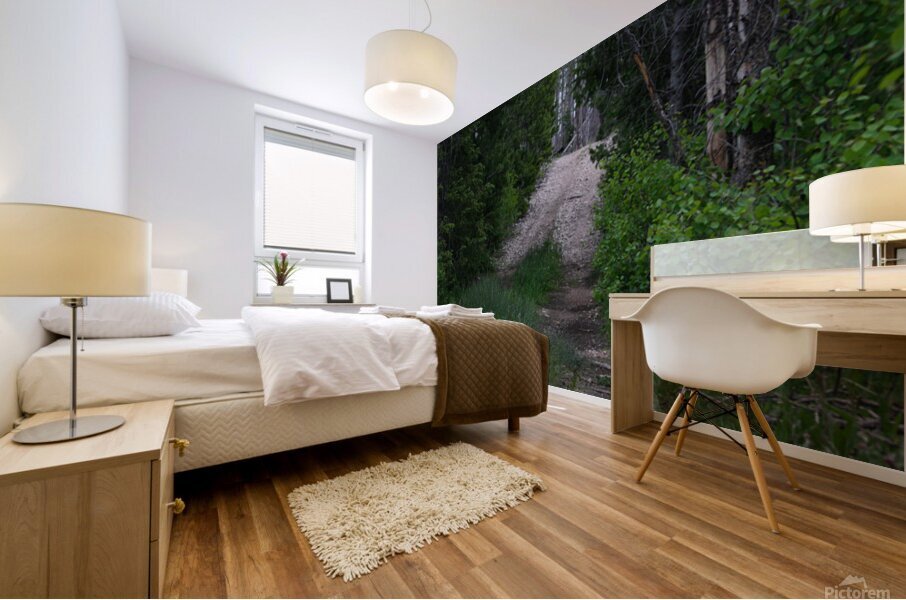 Narrow Path Mural print