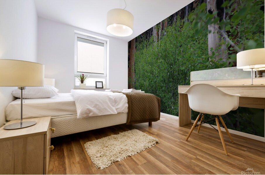 Aspens Low Mural print