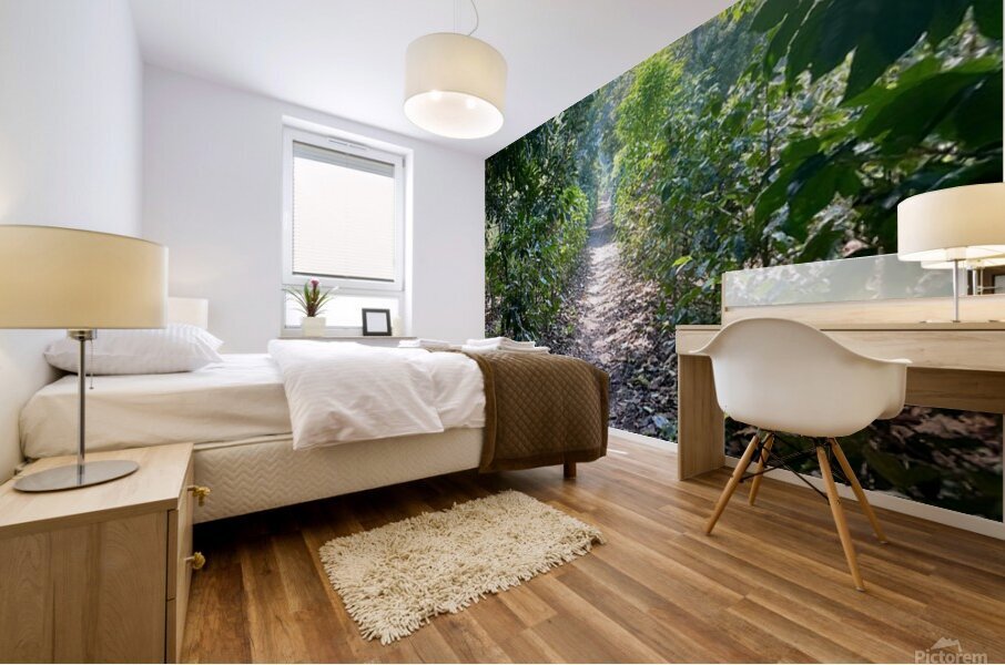 Through Coffee Plantations Mural print