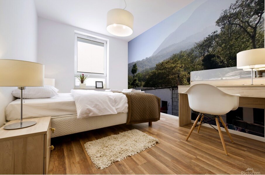Clothes Lines Mural print