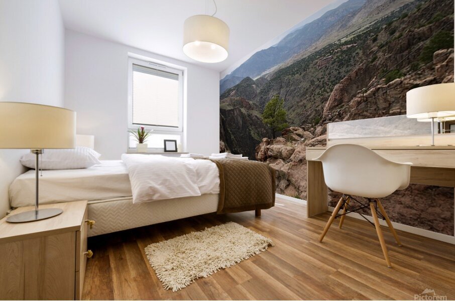 On The Edge Mural print