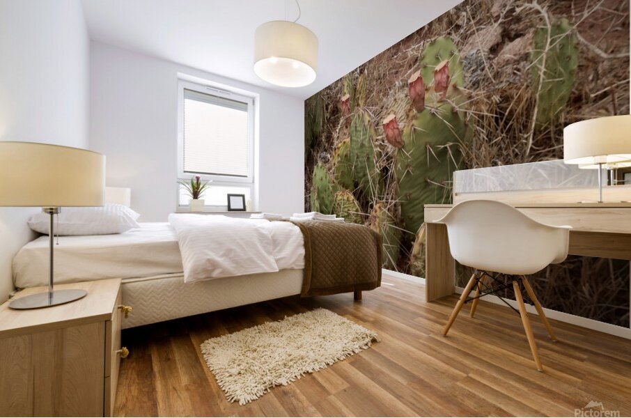 Baby Cactus Mural print