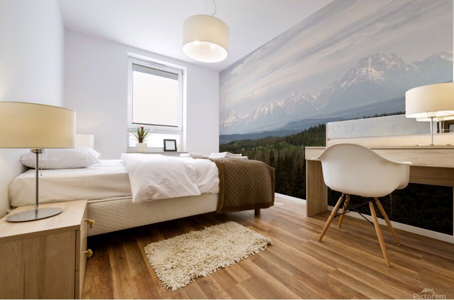 Tetons Landscape Mural print