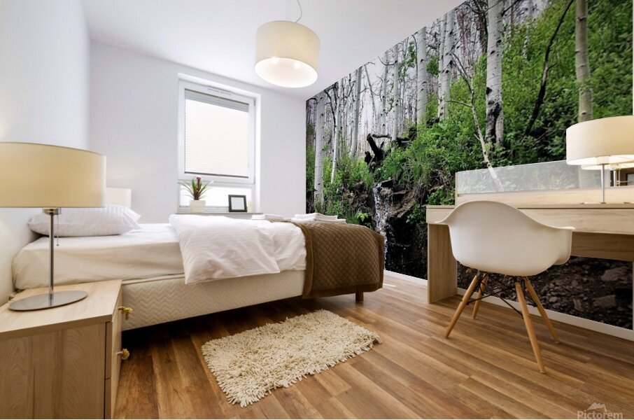 A Green and Cloudy Day Mural print