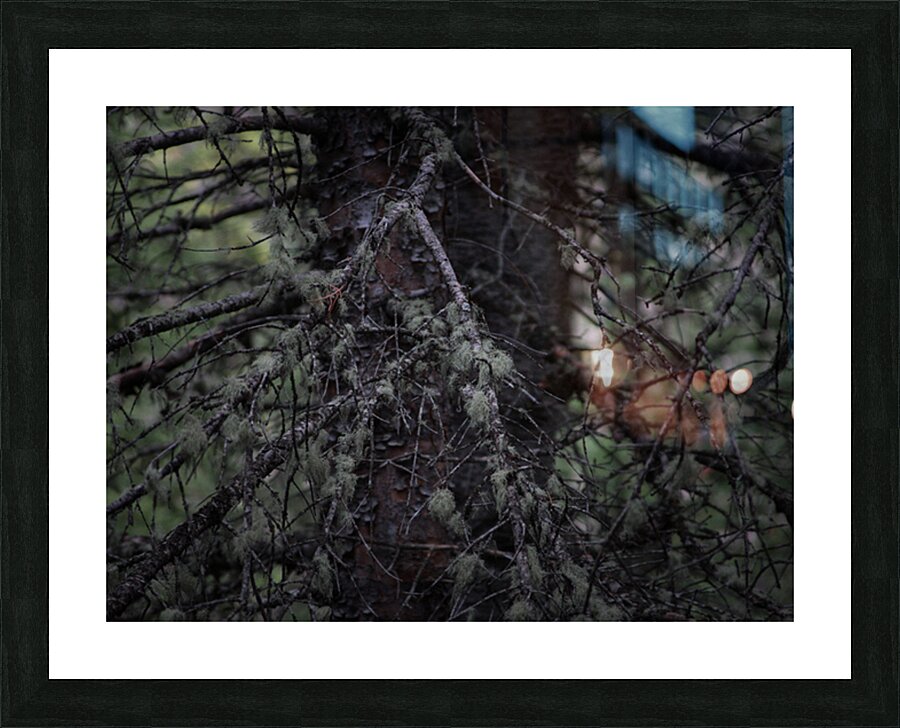 In Darkness Picture Frame print