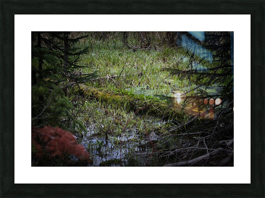 In The Marsh Picture Frame print