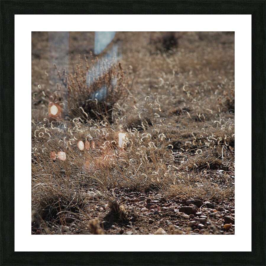 Grassy Day Picture Frame print