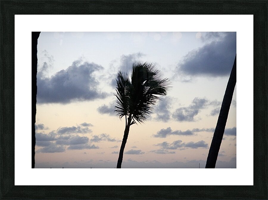 Morning Breeze Picture Frame print