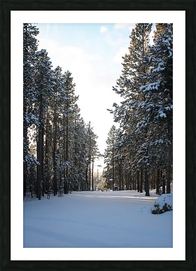 Quiet View Picture Frame print