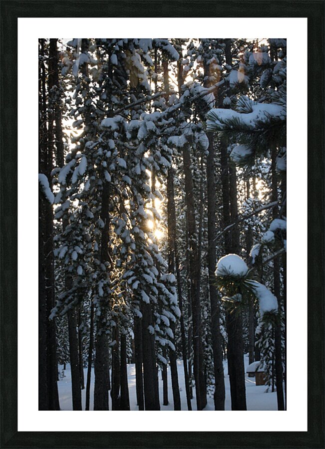 Snow Falls Picture Frame print