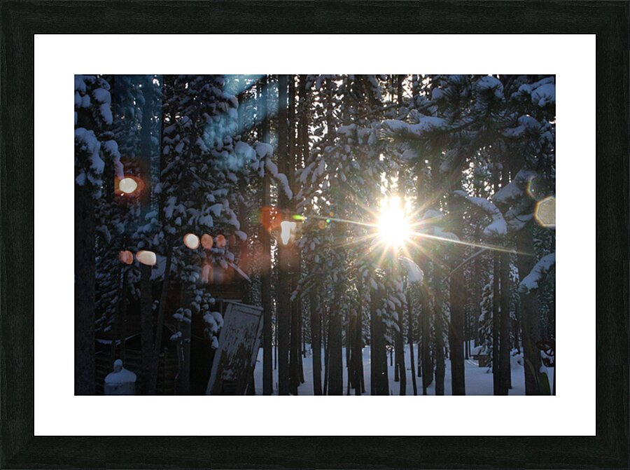 Cold Sun Picture Frame print