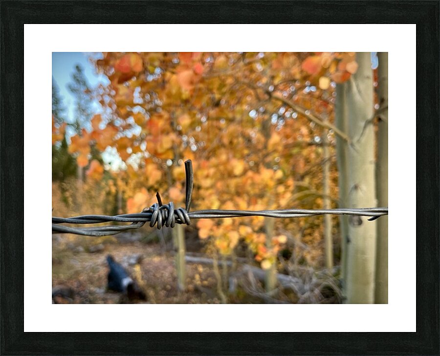 Autumn Wire Picture Frame print