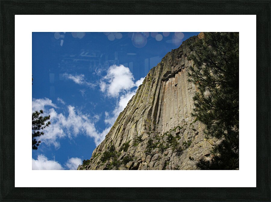 With The Sky Picture Frame print