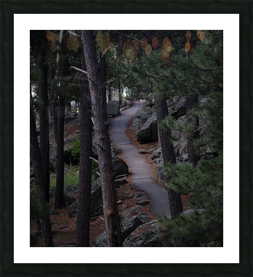 The Path Picture Frame print