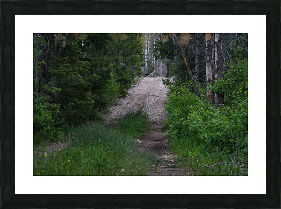 Narrow Path Picture Frame print