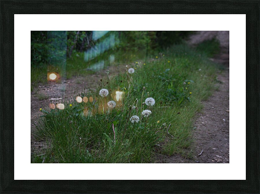 Smell the Flowers Picture Frame print