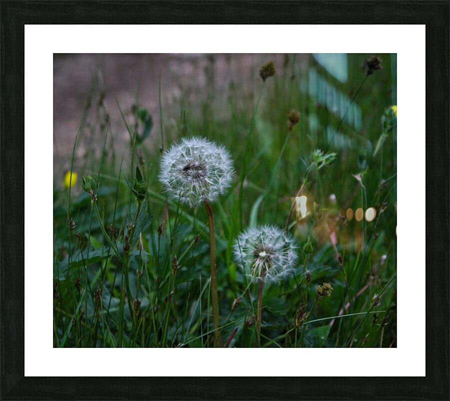 White and Green Picture Frame print